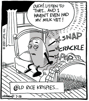 Reality Check - Saturday July 28, 2001 Comic Strip