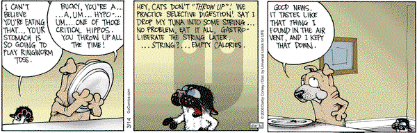 Get Fuzzy on Friday March 14, 2014 Comic Strip