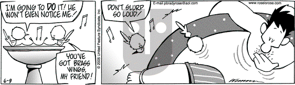 Rose is Rose on Thursday June 9, 2005 Comic Strip