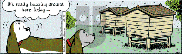 Fred Basset - Friday August 22, 2014 Comic Strip