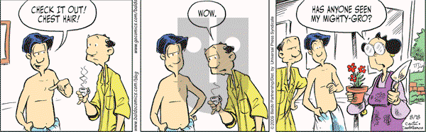 Baldo - Tuesday August 18, 2009 Comic Strip
