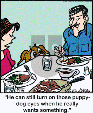 Marmaduke on Saturday May 28, 2016 Comic Strip