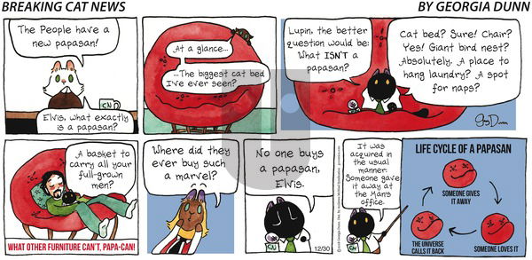 Breaking Cat News on Sunday December 30, 2018 Comic Strip