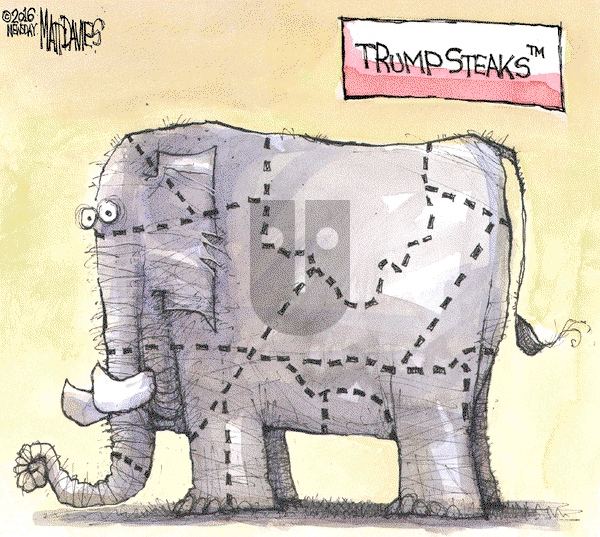 Matt Davies on Tuesday March 15, 2016 Comic Strip