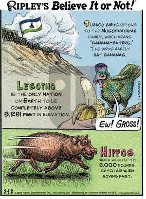 Ripley's Believe It or Not - Tuesday February 18, 2025 Comic Strip