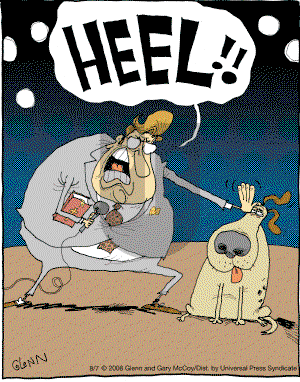 The Flying McCoys on Thursday August 7, 2008 Comic Strip