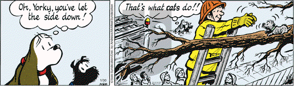 Fred Basset on Tuesday January 30, 2018 Comic Strip