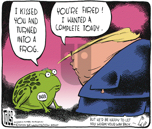 Tom Toles on Friday October 23, 2020 Comic Strip