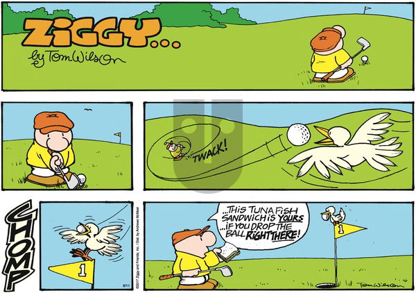 Ziggy on Sunday June 11, 2017 Comic Strip