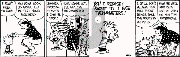 Calvin and Hobbes - Monday June 11, 1990 Comic Strip