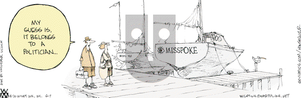 Non Sequitur - Monday June 7, 2010 Comic Strip