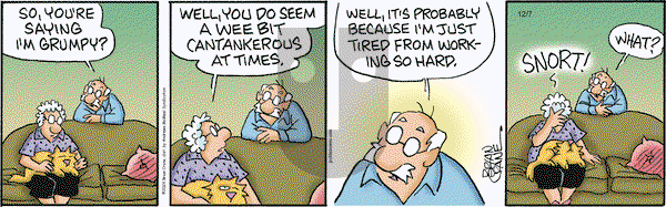 Pickles - Saturday December 7, 2024 Comic Strip