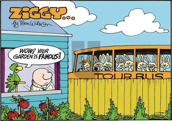 Ziggy - Sunday October 5, 2014 Comic Strip