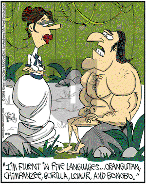 The Flying McCoys on Wednesday August 8, 2018 Comic Strip