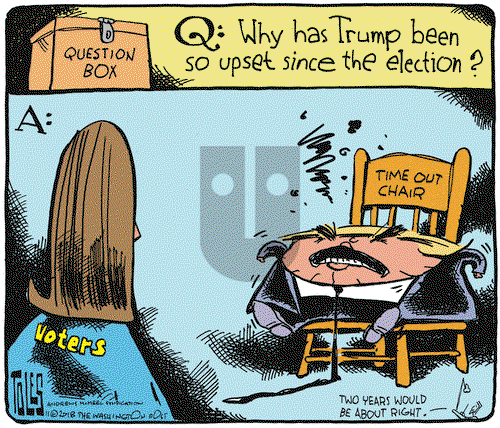 Tom Toles on Monday November 19, 2018 Comic Strip