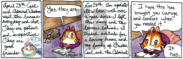 Breaking Cat News - Friday February 3, 2023 Comic Strip