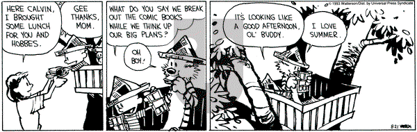 Calvin and Hobbes on Saturday August 21, 1993 Comic Strip
