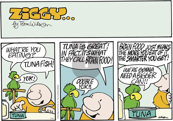 Ziggy - Sunday July 14, 2024 Comic Strip