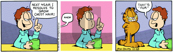 Garfield on Wednesday December 28, 1994 Comic Strip