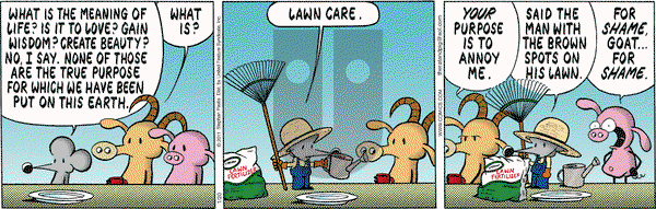 Pearls Before Swine - Thursday January 20, 2011 Comic Strip