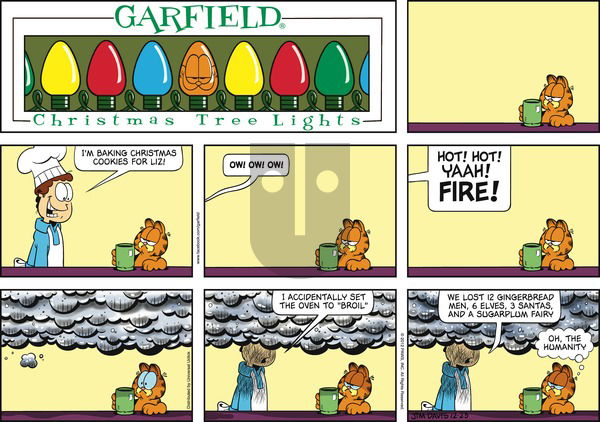Garfield on Sunday December 23, 2012 Comic Strip