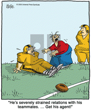 In the Bleachers on Wednesday December 31, 2008 Comic Strip