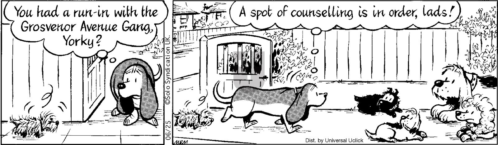 Fred Basset on Wednesday June 25, 2014 Comic Strip