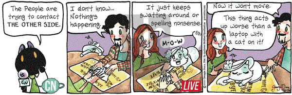Breaking Cat News on Wednesday October 14, 2020 Comic Strip