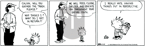 Calvin and Hobbes - Thursday November 23, 1995 Comic Strip