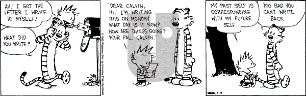 Calvin and Hobbes - Wednesday April 19, 1995 Comic Strip