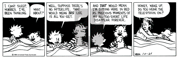 Calvin and Hobbes on Saturday October 21, 1989 Comic Strip