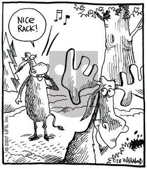 Reality Check on Monday May 28, 2007 Comic Strip