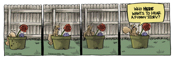 Bob the Squirrel on Saturday May 24, 2025 Comic Strip