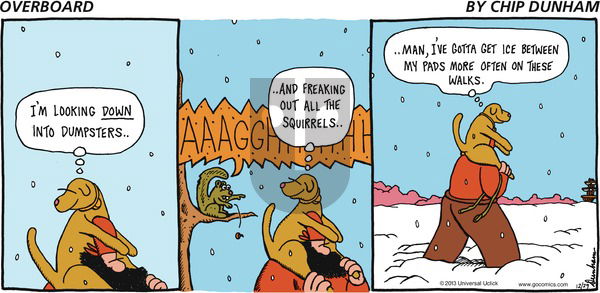 Overboard on Sunday December 29, 2013 Comic Strip