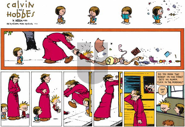 Calvin and Hobbes on Sunday September 6, 2015 Comic Strip