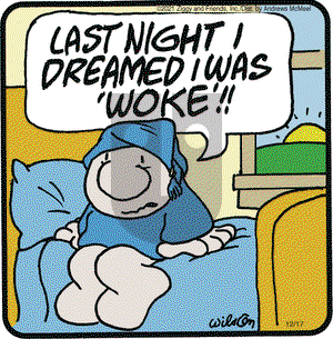 Ziggy - Friday December 17, 2021 Comic Strip