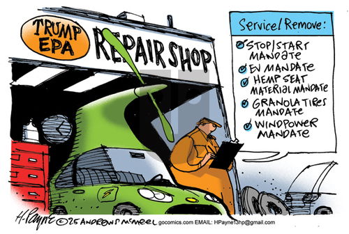 Henry Payne on Monday May 19, 2025 Comic Strip
