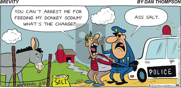 Brevity on Sunday June 1, 2025 Comic Strip