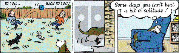 Fred Basset on Monday May 25, 2020 Comic Strip