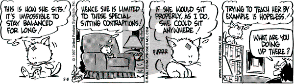 Rose is Rose on Friday August 8, 1997 Comic Strip