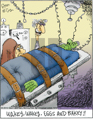 The Flying McCoys on Tuesday June 30, 2015 Comic Strip
