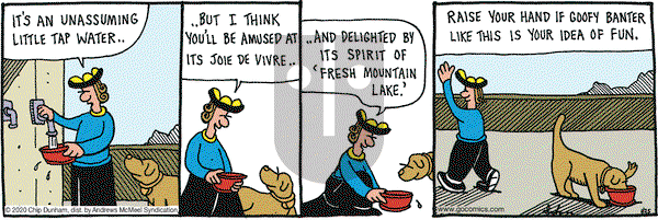 Overboard on Saturday January 25, 2020 Comic Strip