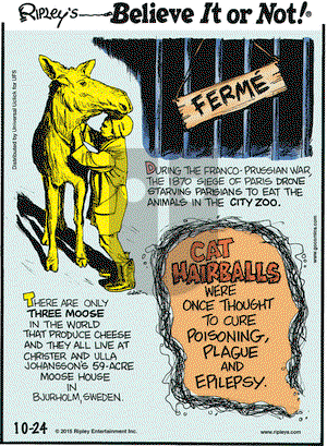 Ripley's Believe It or Not on Saturday October 24, 2015 Comic Strip