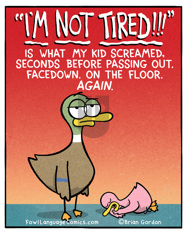 Fowl Language on Thursday November 30, 2017 Comic Strip