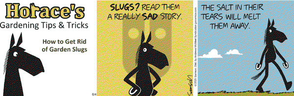 Dark Side of the Horse on Wednesday June 4, 2025 Comic Strip