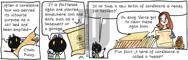 Breaking Cat News on Saturday June 20, 2020 Comic Strip