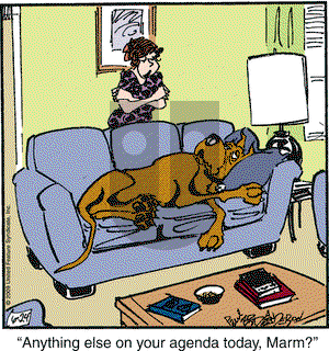Marmaduke on Wednesday June 24, 2009 Comic Strip