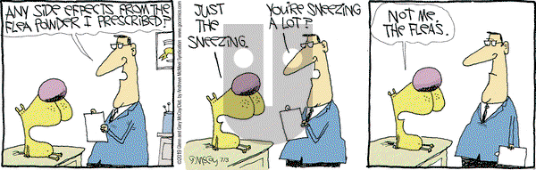 The Duplex on Wednesday July 3, 2019 Comic Strip