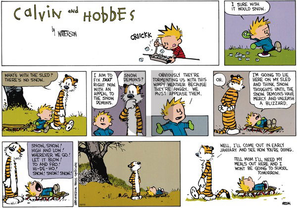 Calvin and Hobbes on Sunday November 12, 1989 Comic Strip