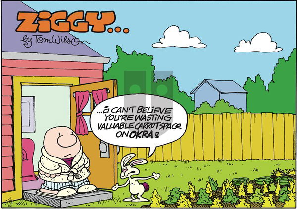 Ziggy on Sunday June 2, 2013 Comic Strip